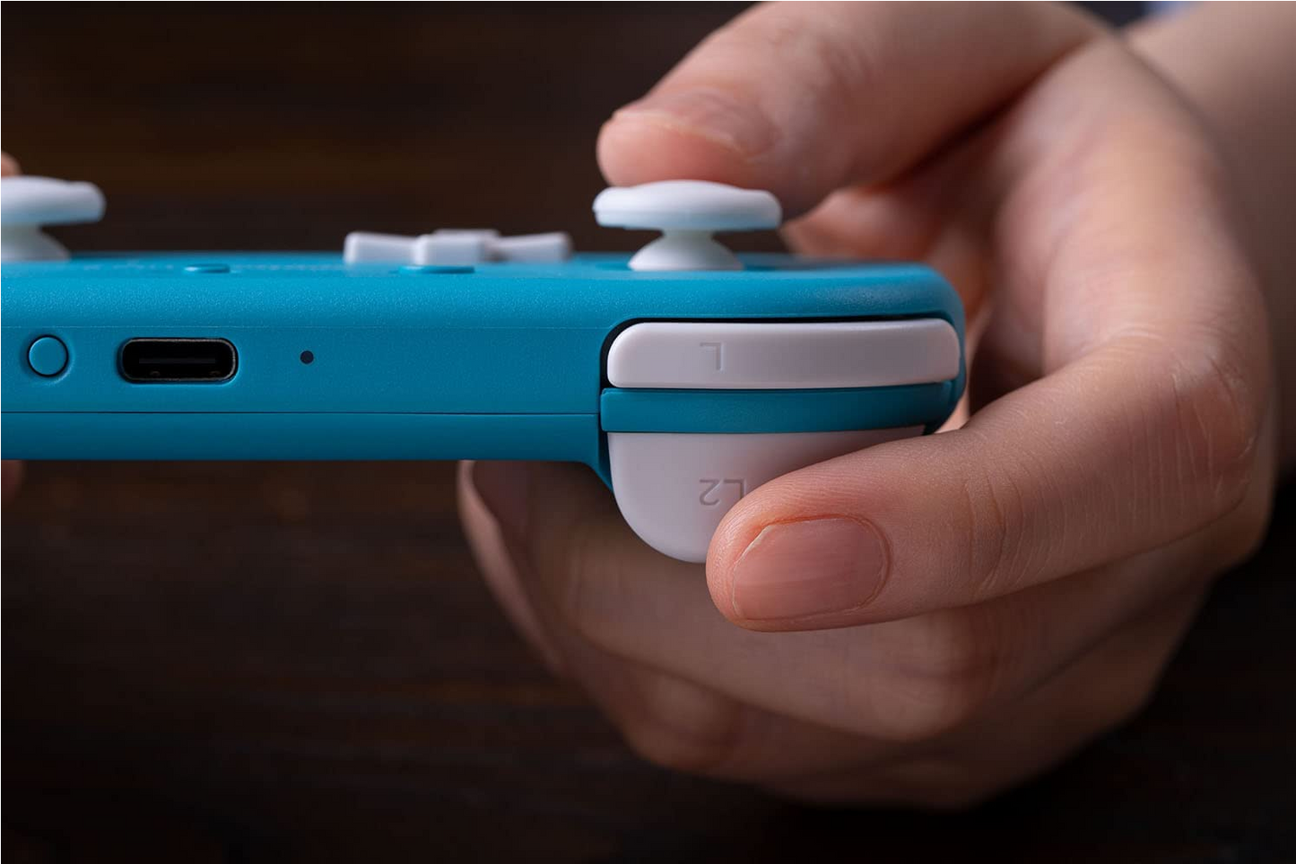 8BitDo Lite 2 Bluetooth Gamepad for Switch, Switch Lite, Android and Raspberry Pi